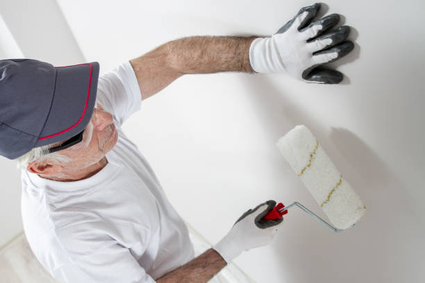 Best Mold Odor Removal Services  in Bossier City, LA