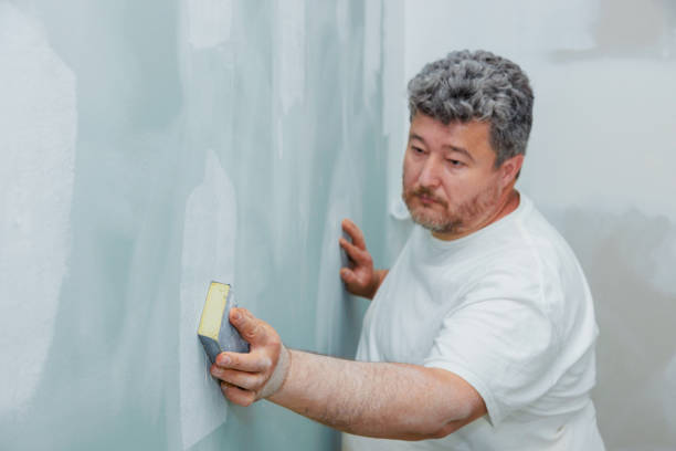 Best Mold Prevention Services  in Bossier City, LA