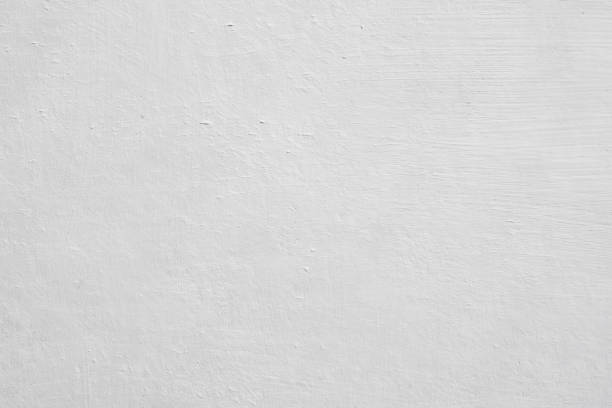 Best Mold Remediation for Vacation Homes  in Bossier City, LA