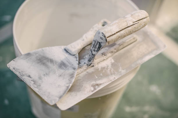 Reliable Bossier City, LA Mold Removal Solutions